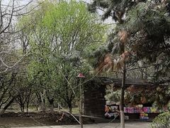 -长白岛森林公园