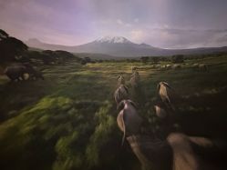 -翱翔飞越地平线