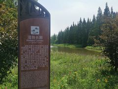 -黄海国家森林公园