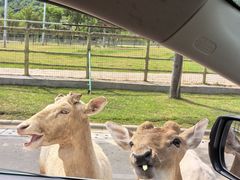 -南京金牛湖风景区