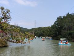 -清境桃源