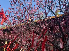 -句容茅山景区