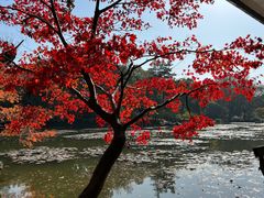 -杭州植物园