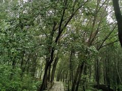 -北京凤凰岭