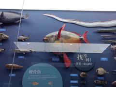 -国家自然博物馆