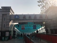 -武汉关码头(轮渡站)