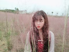-大塘金香草谷