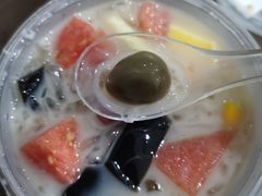 -凉凉海石花