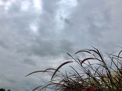 -中国天府农业博览园