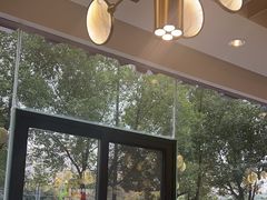 -新概念来凤鱼(璧山店)