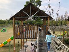 -上海长兴岛郊野公园