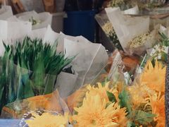 -循礼门鲜花花市(武汉循礼门店)