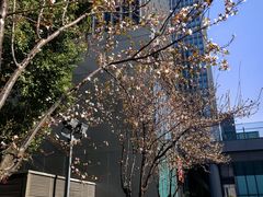 -陆家嘴世纪金融广场