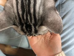 -猫和宫(六道口店)