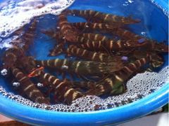 iphone_upload_pic-香港厨房