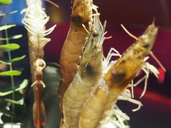 -享月汤皇·海鲜小火锅·聚会(曲江创意谷店)