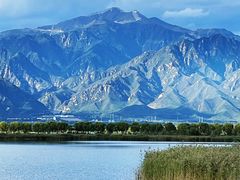 -野鸭湖国家湿地公园