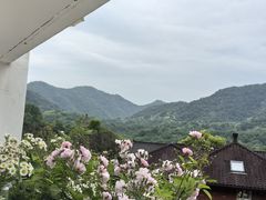 -杭州西湖风景名胜区-满觉陇四眼井