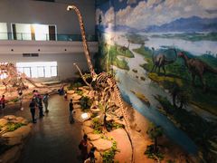 -自贡恐龙博物馆