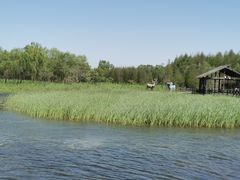 -溱湖国家湿地公园