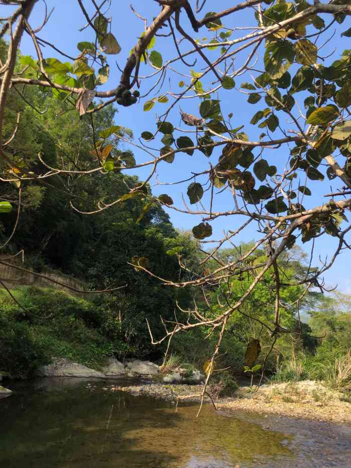 熱帶雨林風景區售票處-