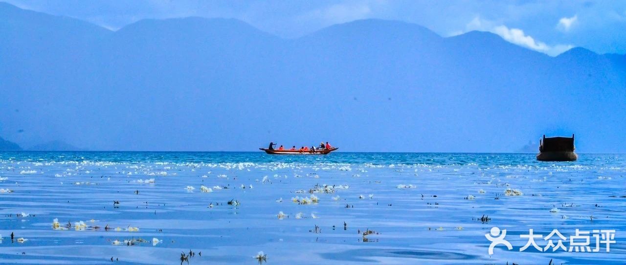 会把小白花送到离它根叶很远很远的地方