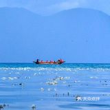 会把小白花送到离它根叶很远很远的地方