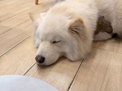 -OZ cafe(南昌路店)