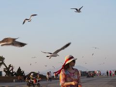 -东港音乐喷泉广场