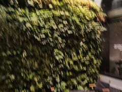 -巴厘龙虾·榜首油焖大虾(洞庭·艺术洋房店)