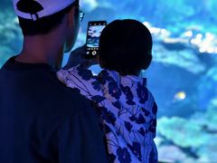 -暹罗海洋世界