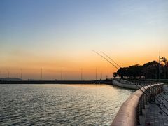 -深圳湾公园(南山区)