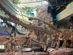 -安徽省地质博物馆