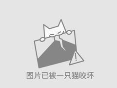 -泗洪洪泽湖湿地景区