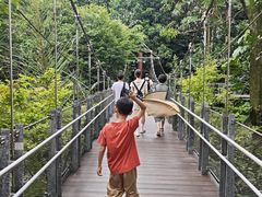 -新加坡飞禽公园