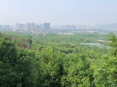 -中国唐苑