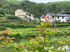 -黄山翡翠谷景区
