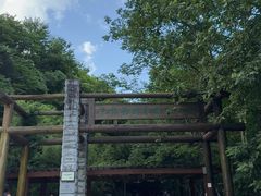 -牛背梁国家森林公园