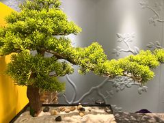 -华夏良子·足道SPA艾灸(铁道大厦店)