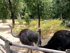 -大连森林动物园