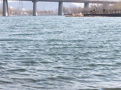 -永定河休闲森林公园