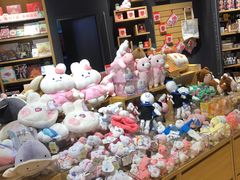 -九木杂物社(中心店)