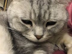 -平行世界·猫咖(首经贸店)