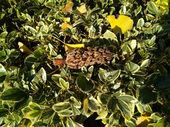 -苏州河梦清园环保主题公园