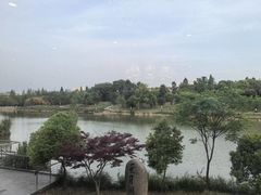 -仙林宾馆-餐厅