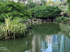 -九龙公园