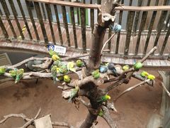 -正佳雨林生态植物园