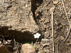 -云峰山自然风景区