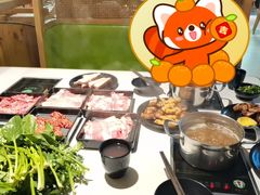 -爱伲牛肉火锅自助(景洪店)