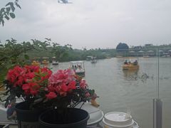 -空港花田景区